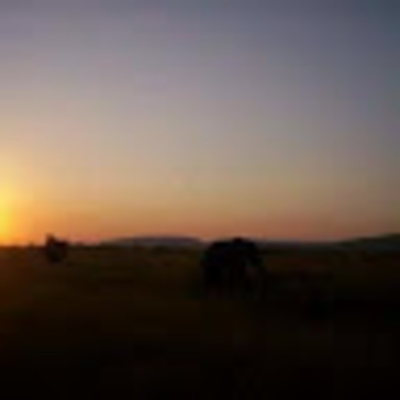 cywill08_726